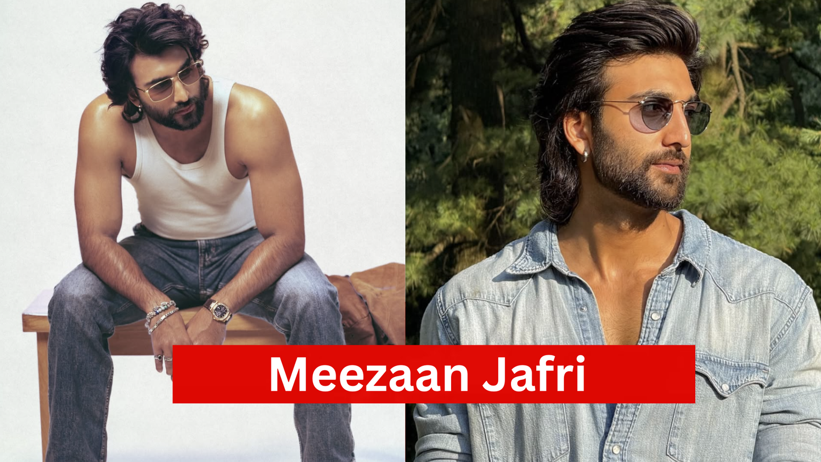 Jafri Meezaan Jafri Father, Biography, Age, Movies, Net Worth and More Info ...